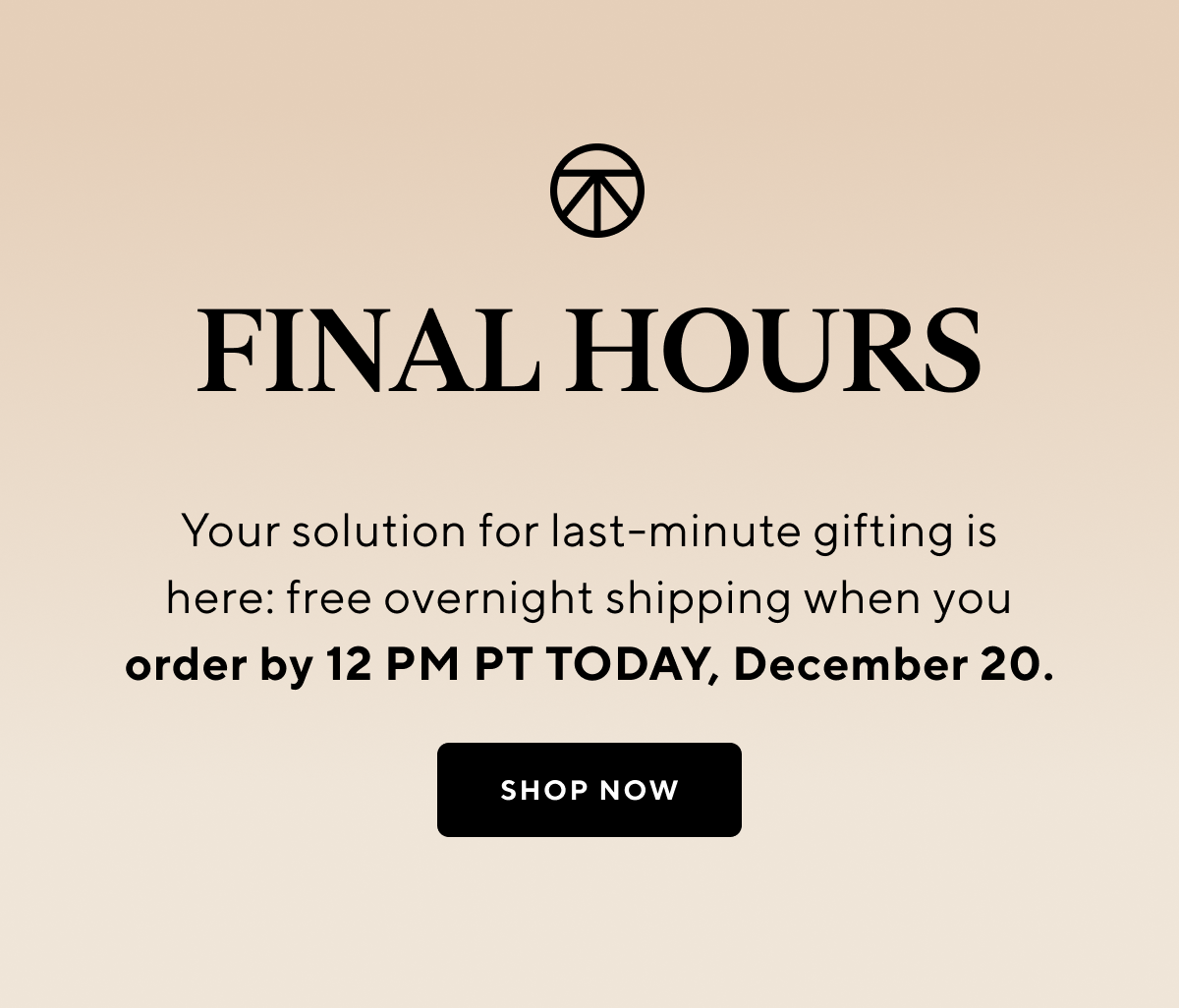 ⌛ FINAL HOURS FREE overnight shipping Therabody